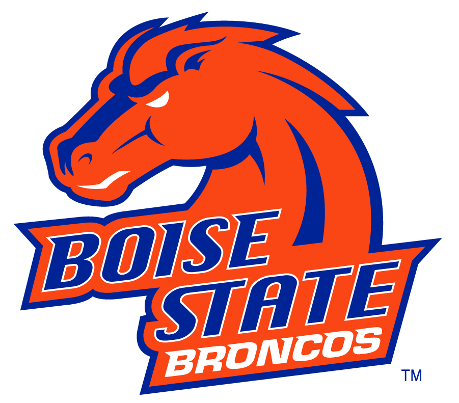 Boise State Broncos 2002-2012 Secondary Logo v16 iron on transfers for clothing